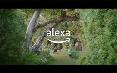 Alexa Loses Her Voice